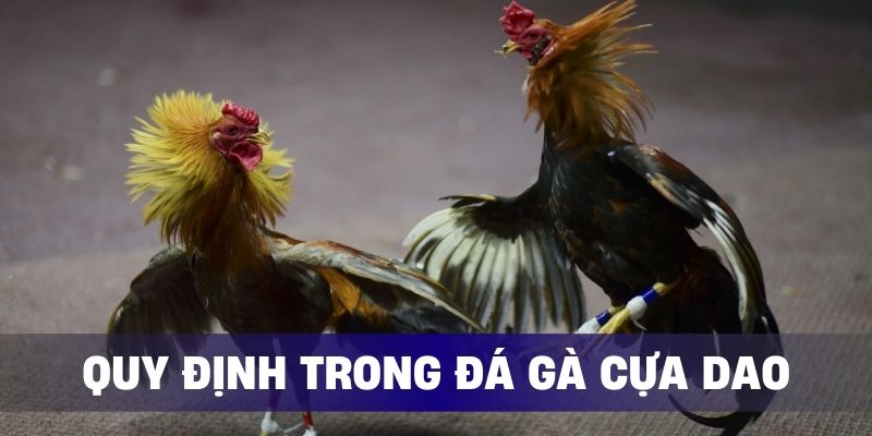 Quy định được đưa ra bắt buộc phải tuân thủ nghiêm chỉnh