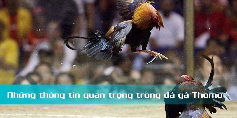 Quy định được công khai rộng rãi và tuân thủ chặt chẽ