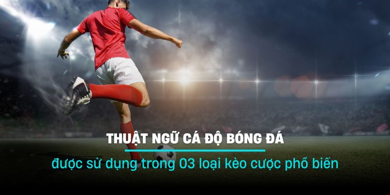 Mỗi phương thức đều có list thuật ngữ cá độ bóng đá độc đáo