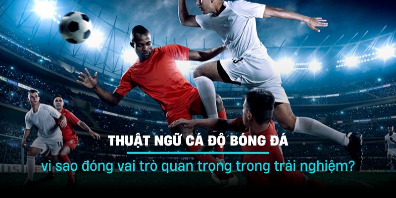 Đây là một khía cạnh cực kỳ quan trọng trong quá trình trải nghiệm