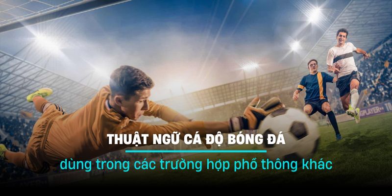 Trau dồi thêm bằng cách trải nghiệm thực tế và học hỏi xung quanh